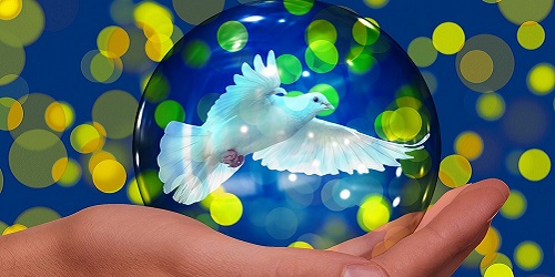 Hilfsorganisationen Banner